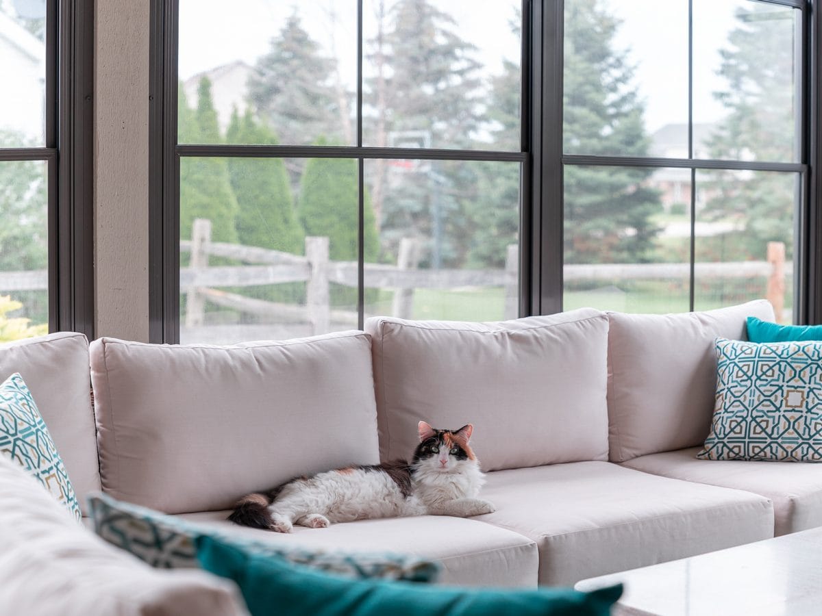 Converted porch with new windows and bright interior seating in South Jersey
